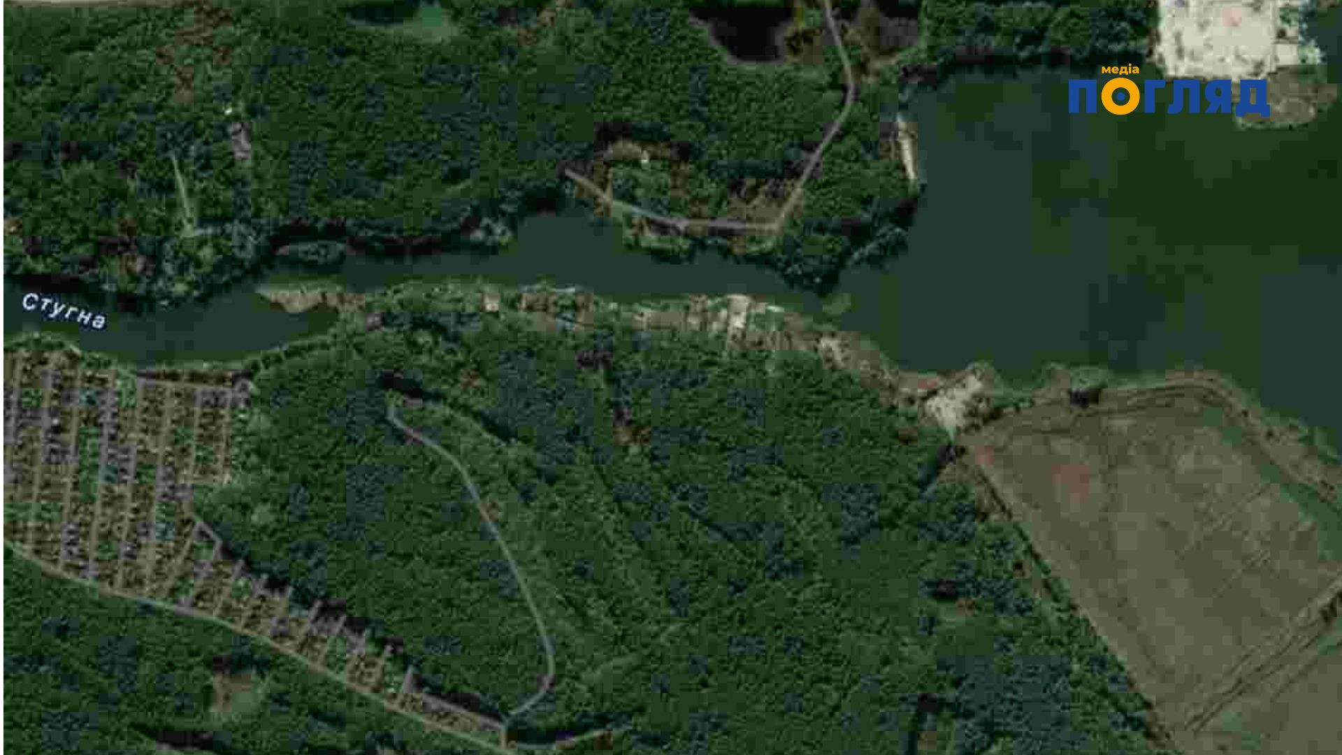 У державну власність повернули 24 гектари лісу на Київщині, які понад 20 років тому незаконно привласнила родина Медведчука (ФОТО) - зображення